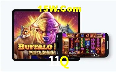 Sistemas de Segurança 11Q